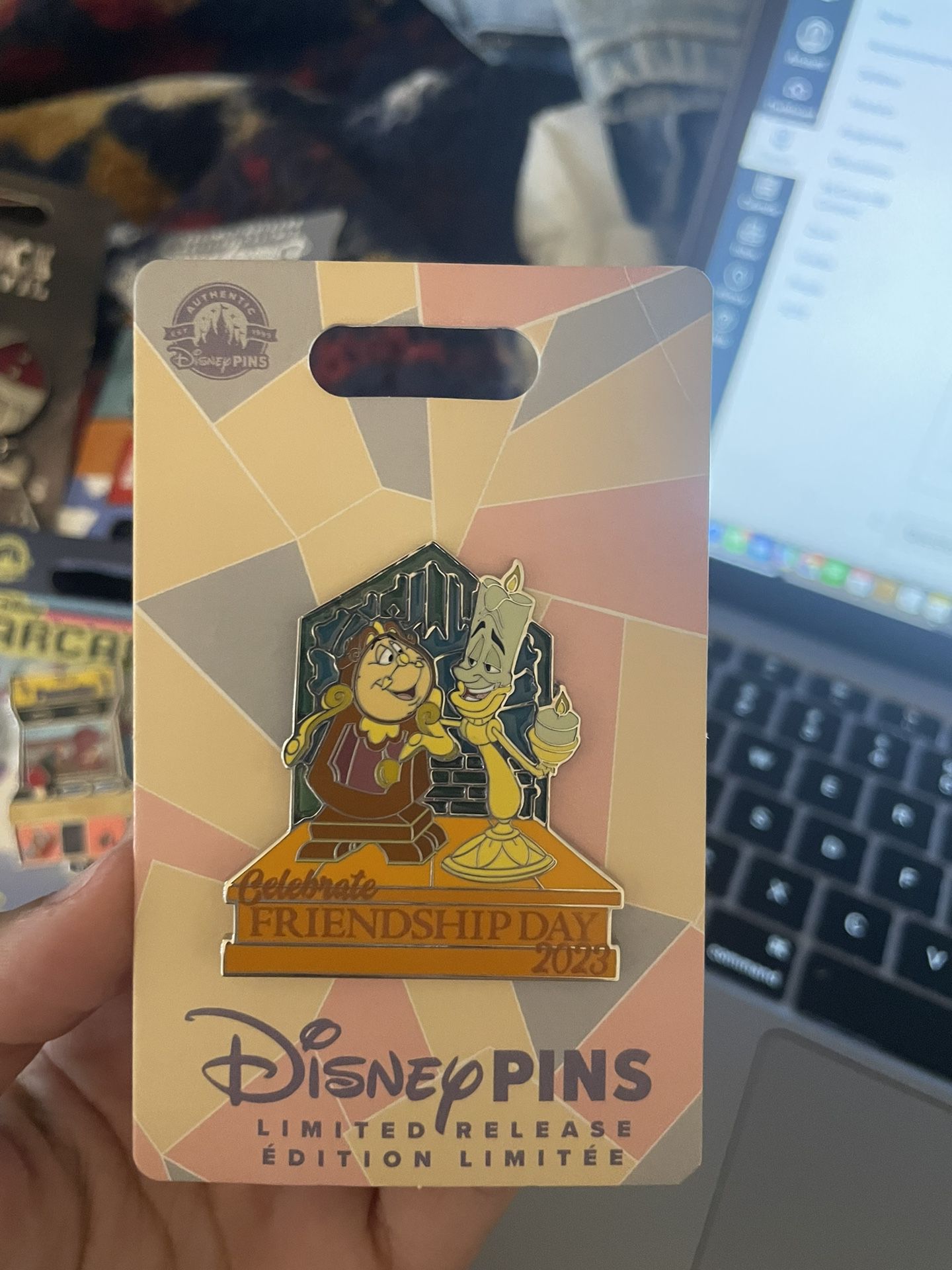 Disneyland Pin