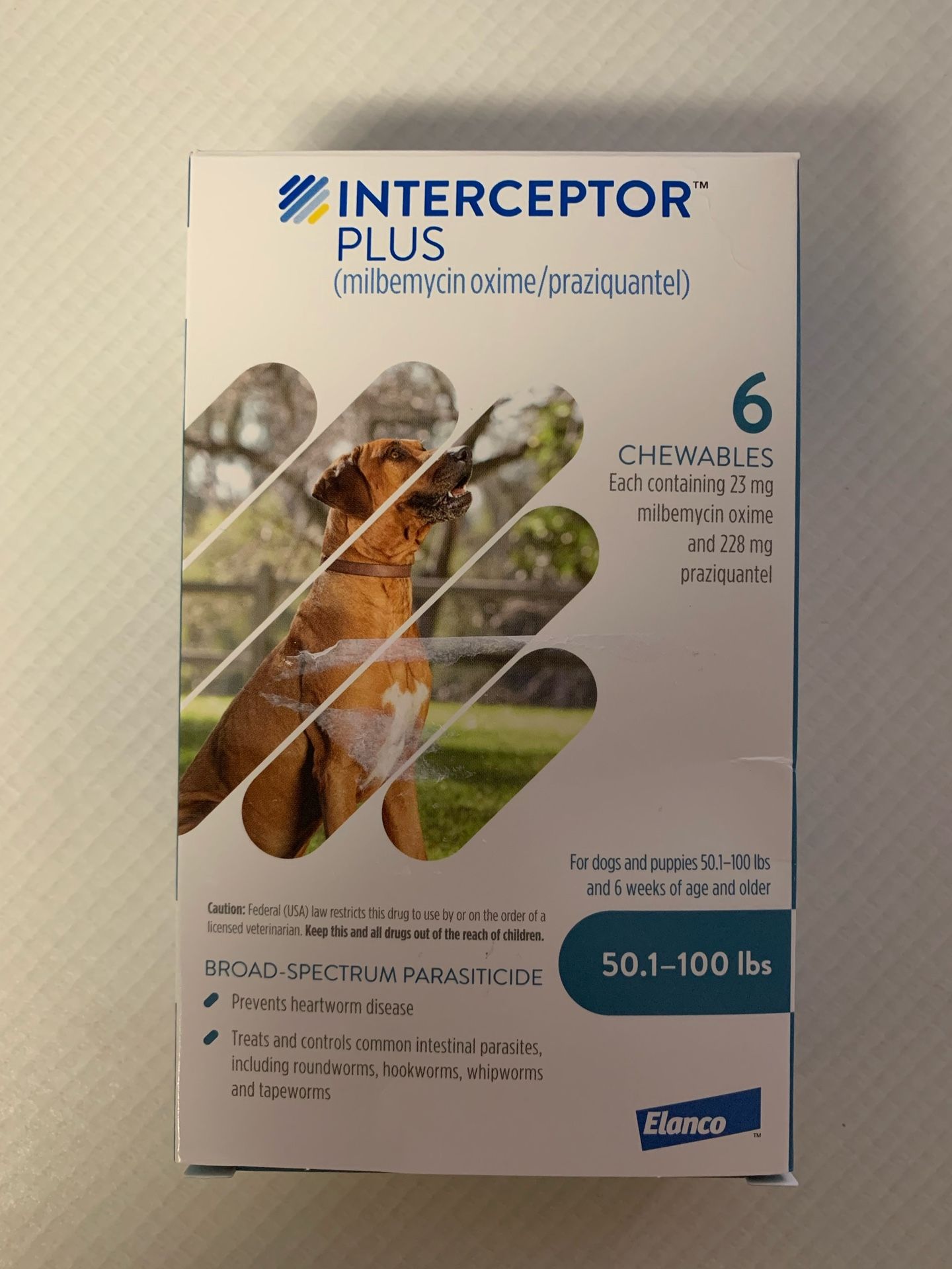 Interceptor Plus heart worm medicine for dogs