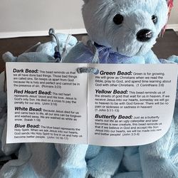 Beanie Babies (Lani)