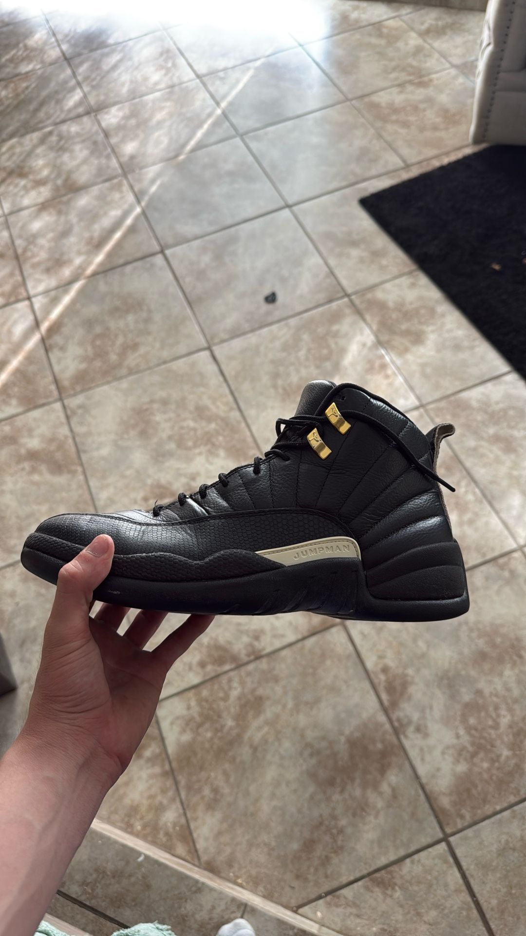 Jordan 12 The Master