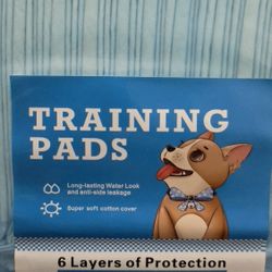 Training Pads For Pet