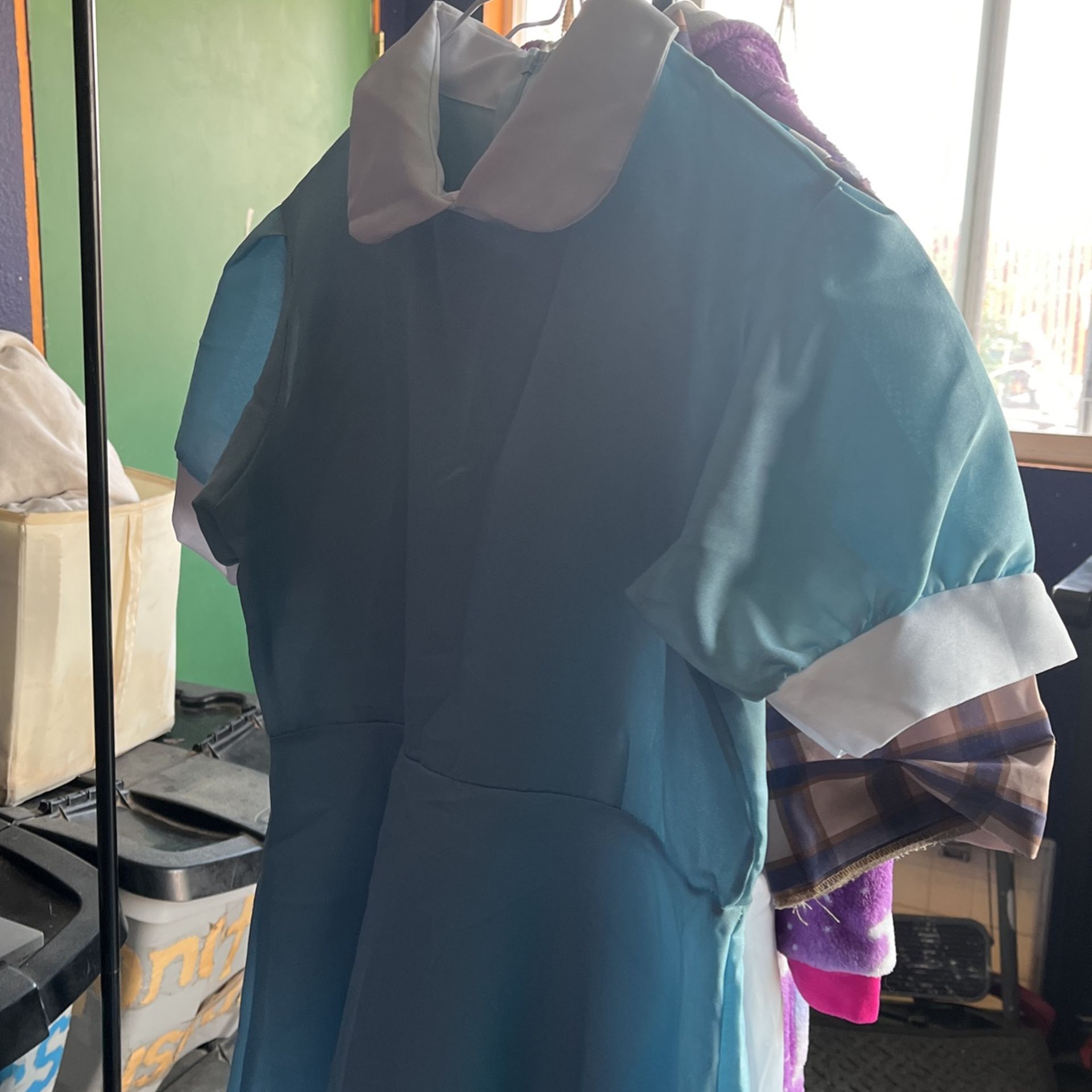 Assorted Costumes