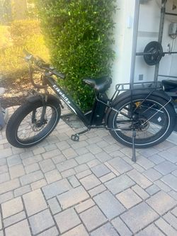 Adult Electric Bike