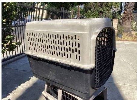 Large Dog Kennel