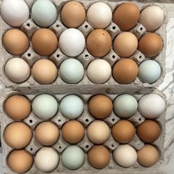 Farm Fresh Eggs 