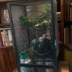 Complete Chameleon, (And Cricket) Set Up