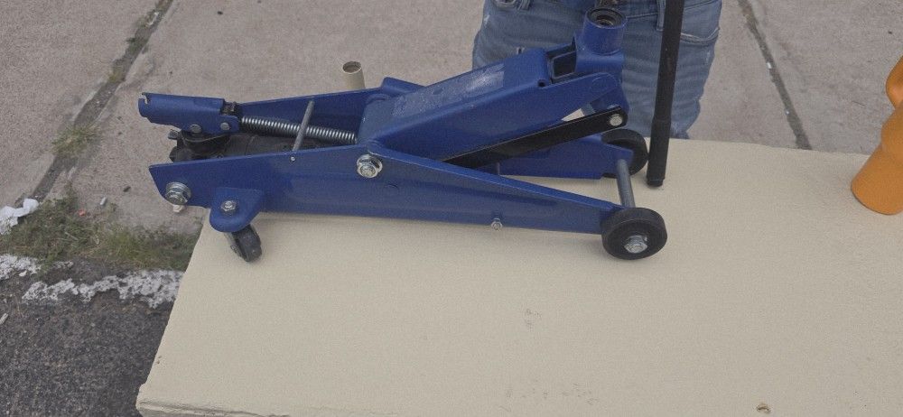 Alligator Jack
