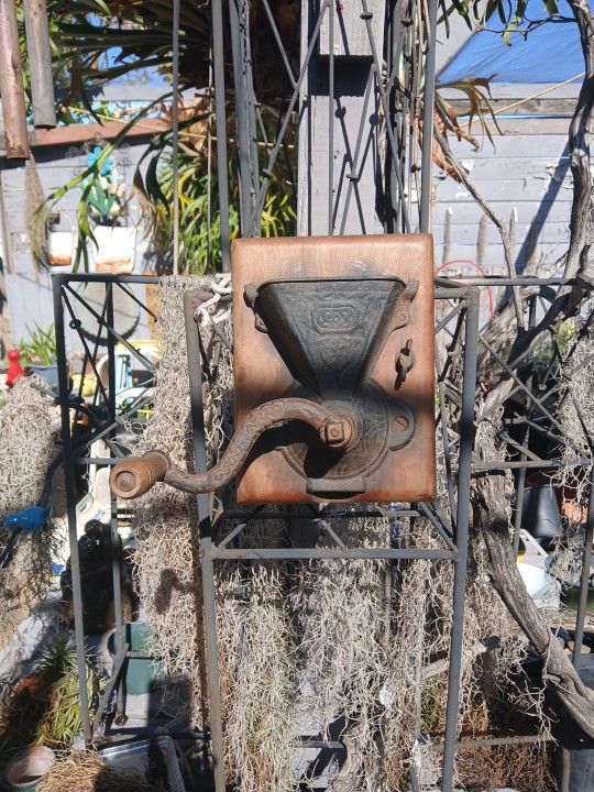 🌞 SUPER RARE 1930  BRIGHTON COFFEE  GRINDER!