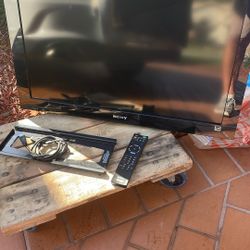 Sony Bravia Flat Screen With Wall Mount