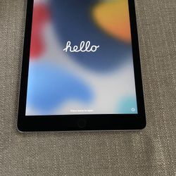 iPad Air 2 (128GB) with case