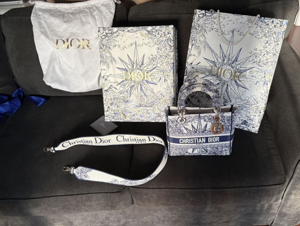 Lady Dior Bag / Purse