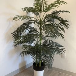 6 Foot Palm Tree - Realistic Silk Plant