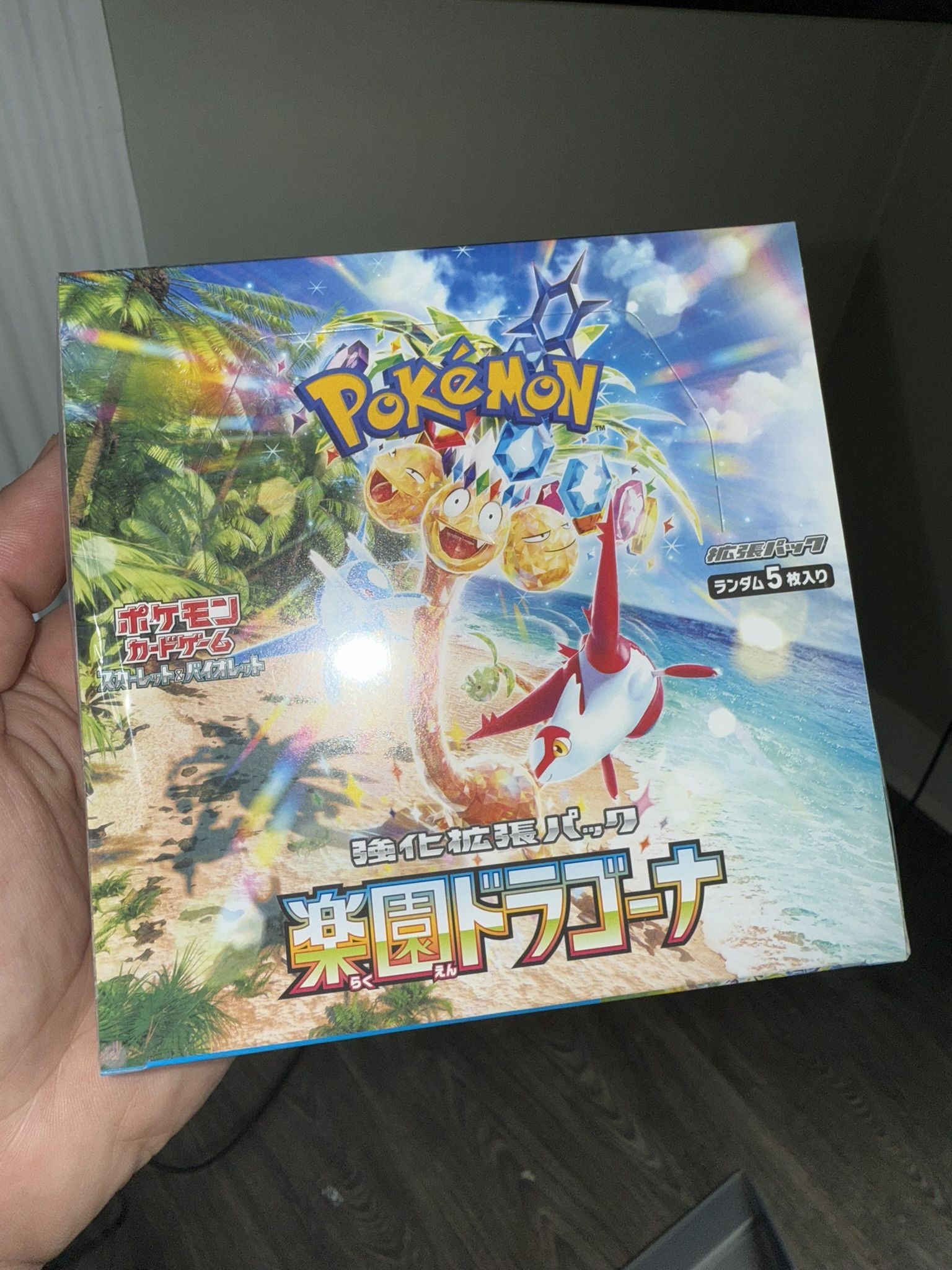 Pokemon Paradise Dragona