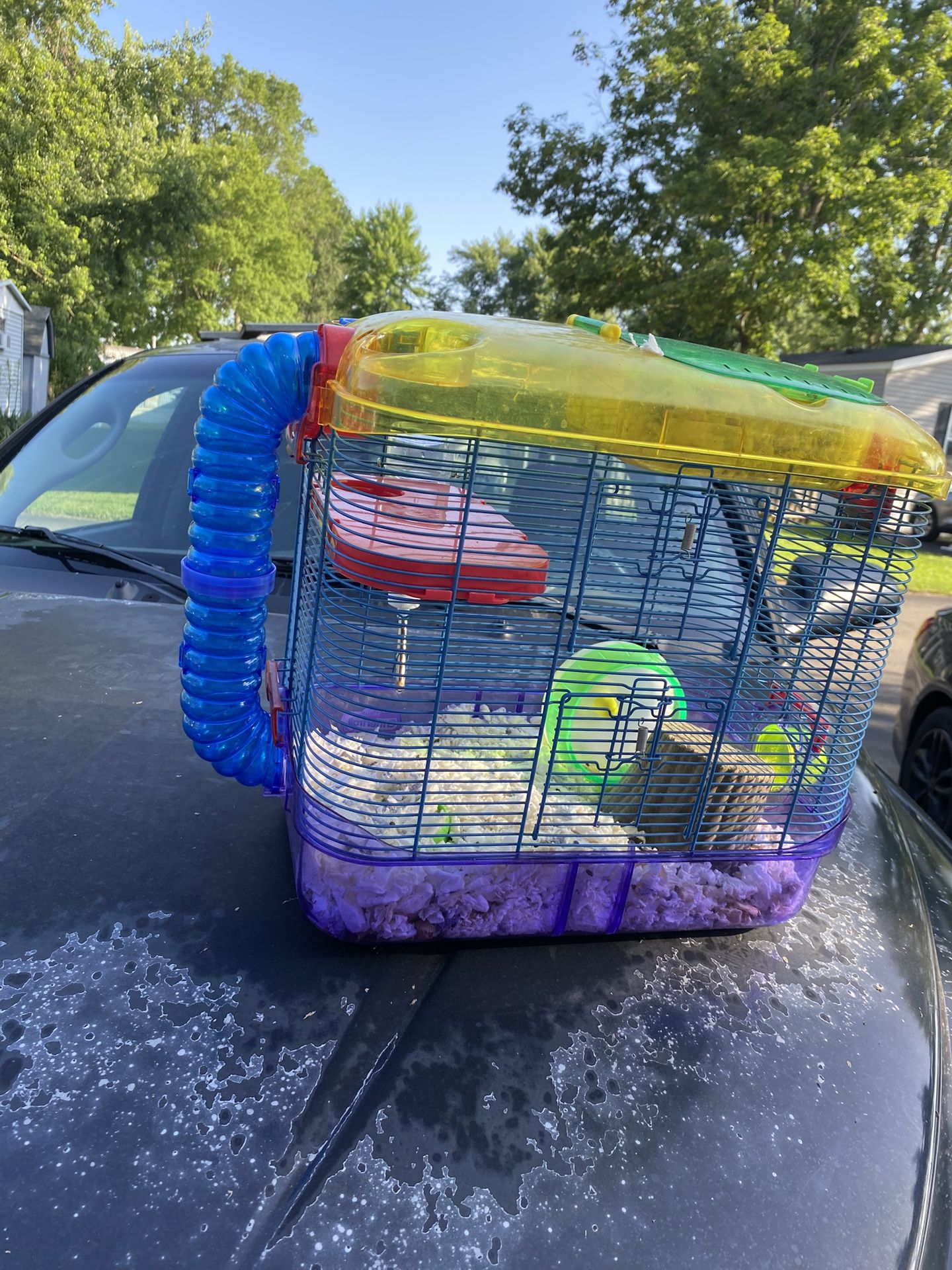 Mouse Cage