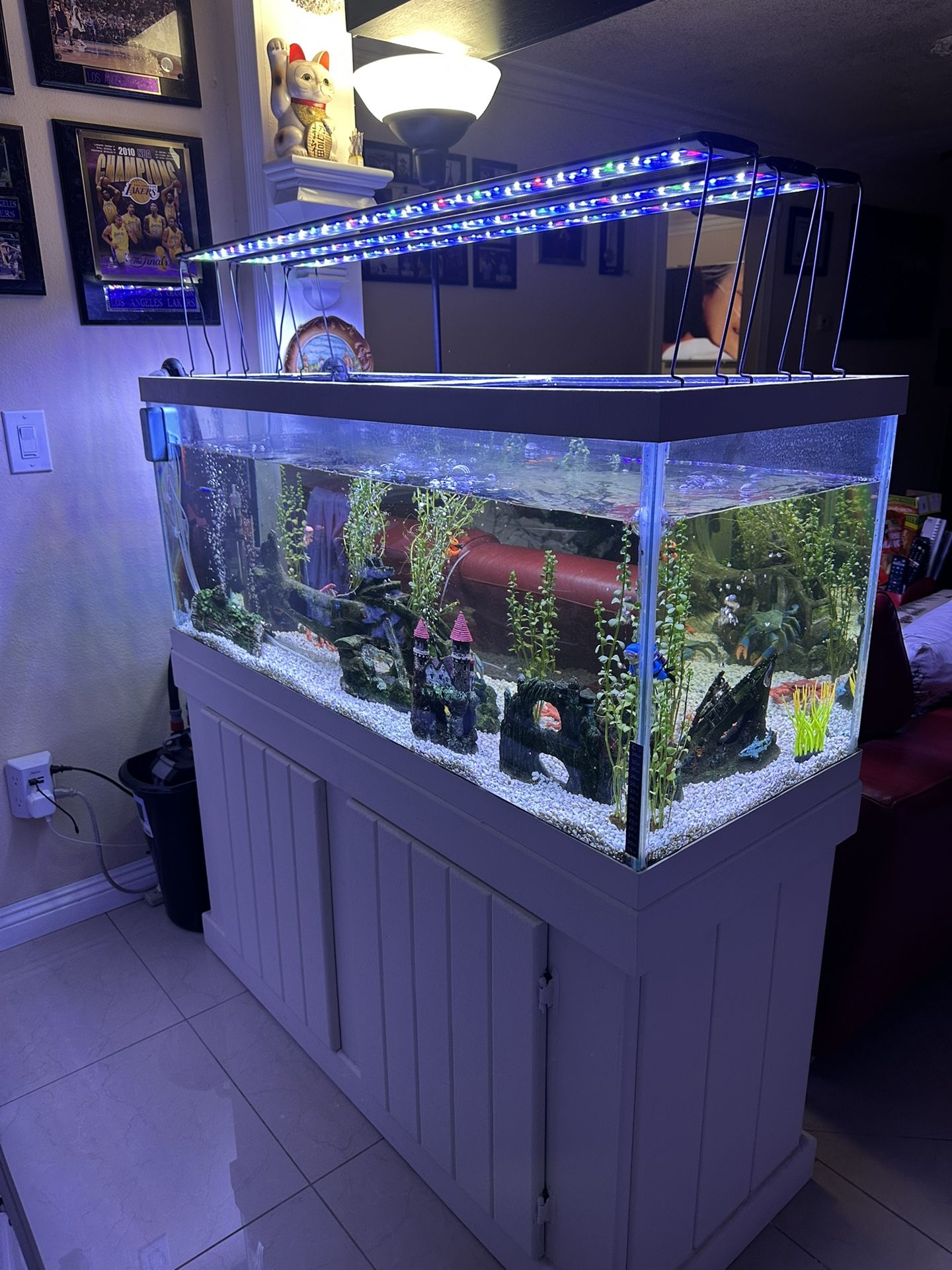 Fresh Water Aquarium