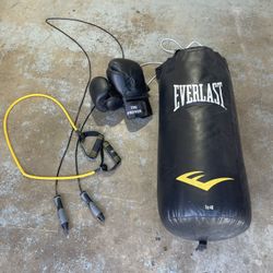 Everlast Punching Bag With Gloves, Jump Ropes And More For All Size