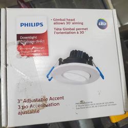 3" Adjustable Downlight