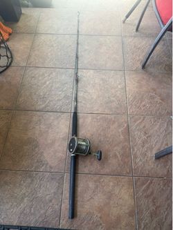 Penn Senator 9/0 fishing 🎣 reel + Penn Senator Rod