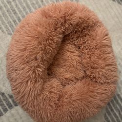 New Small Dog/Cat Bed