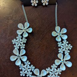 Earring/necklace set