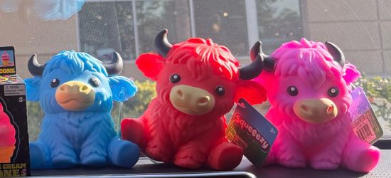Cow Squeeezy