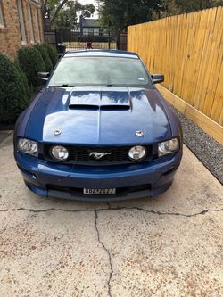 2005-2006 Mustang GT
