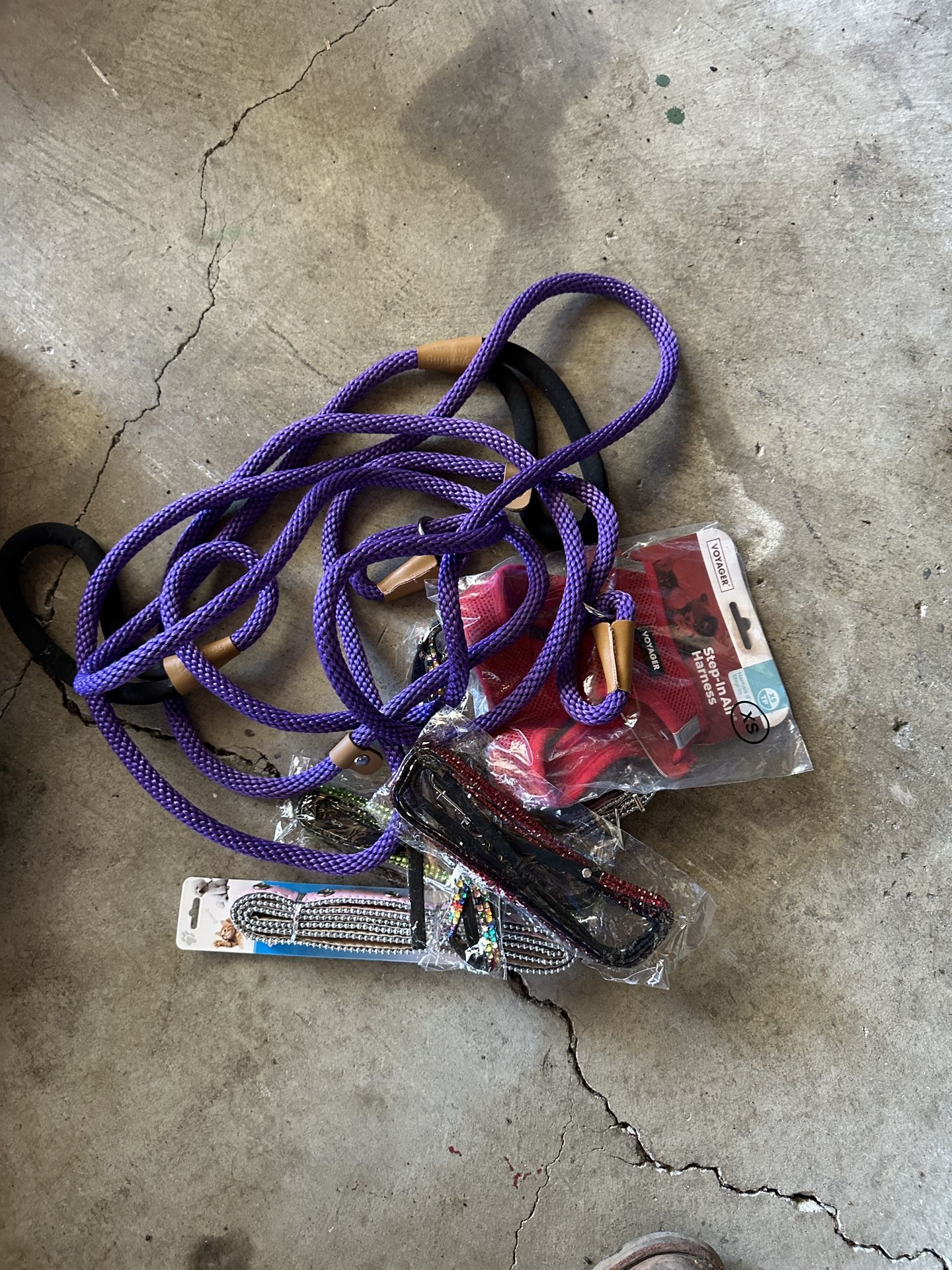 Dog Leashes And Collars