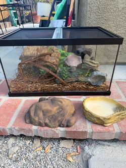 25 gallon tank