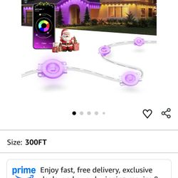 Home Outdoor Permanent Lights
