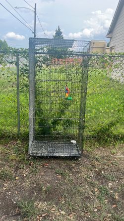 Big Bird Cage