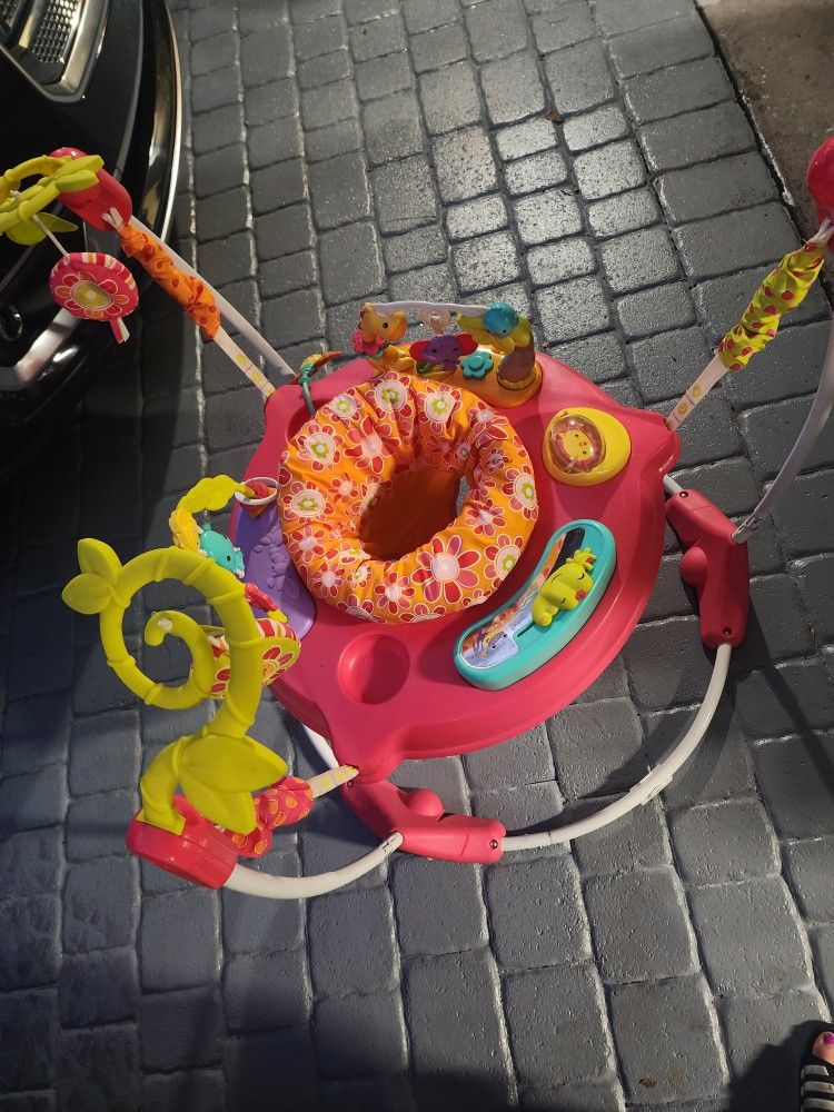 Fisher-Price Baby Bouncer Pink Petals Jumperoo