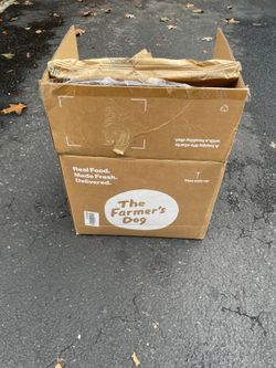 Cardboard Shipping Box With Thick Cushion Box For Shipping Cold Or Safely
