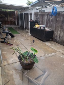project not finished 10x16 shed have shingles knees roof you take apart and take home $100