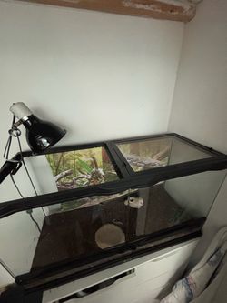 Reptile tank with lamp