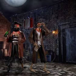 Halloween Pirates 