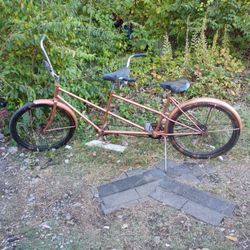 Schwinn Double Bike