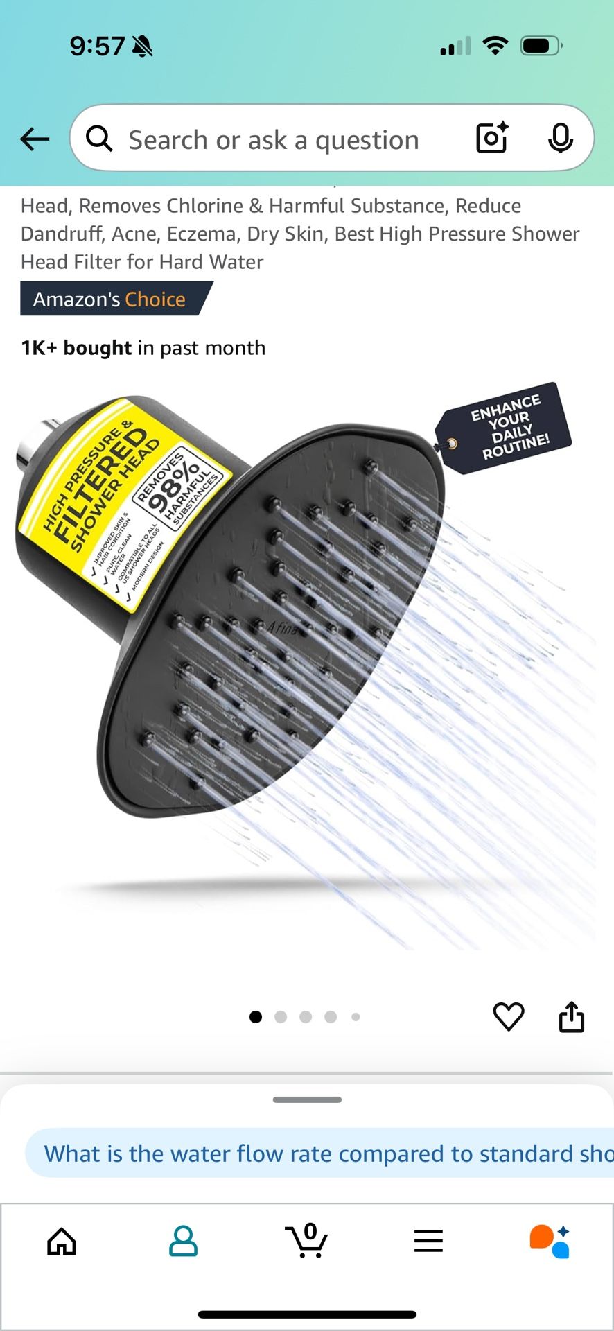 Filter Shower Head