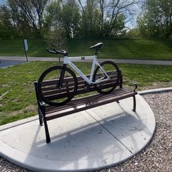 Leader fixie (custom decal)