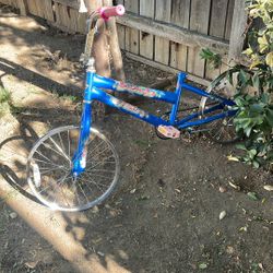 Free Bike Free Scrap Metal 
