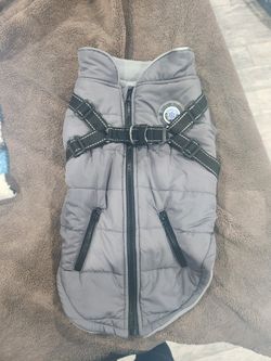 Large Dog Jacket