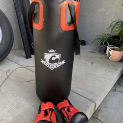 Punching Bag
