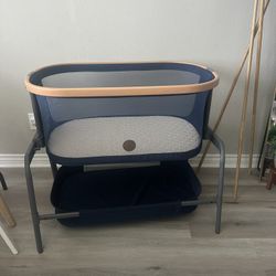 Maxi Cosi Blue Bassist 