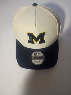 Michigan cap new
