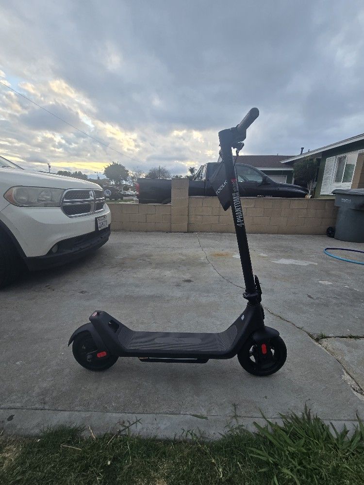 Electric Scooters