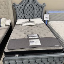 Beautiful Queen Bed Frame 