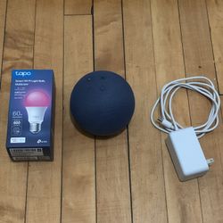 Amazon echo dot with smart bulb