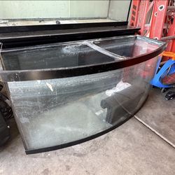 75 Gallon Tank With Domed Front