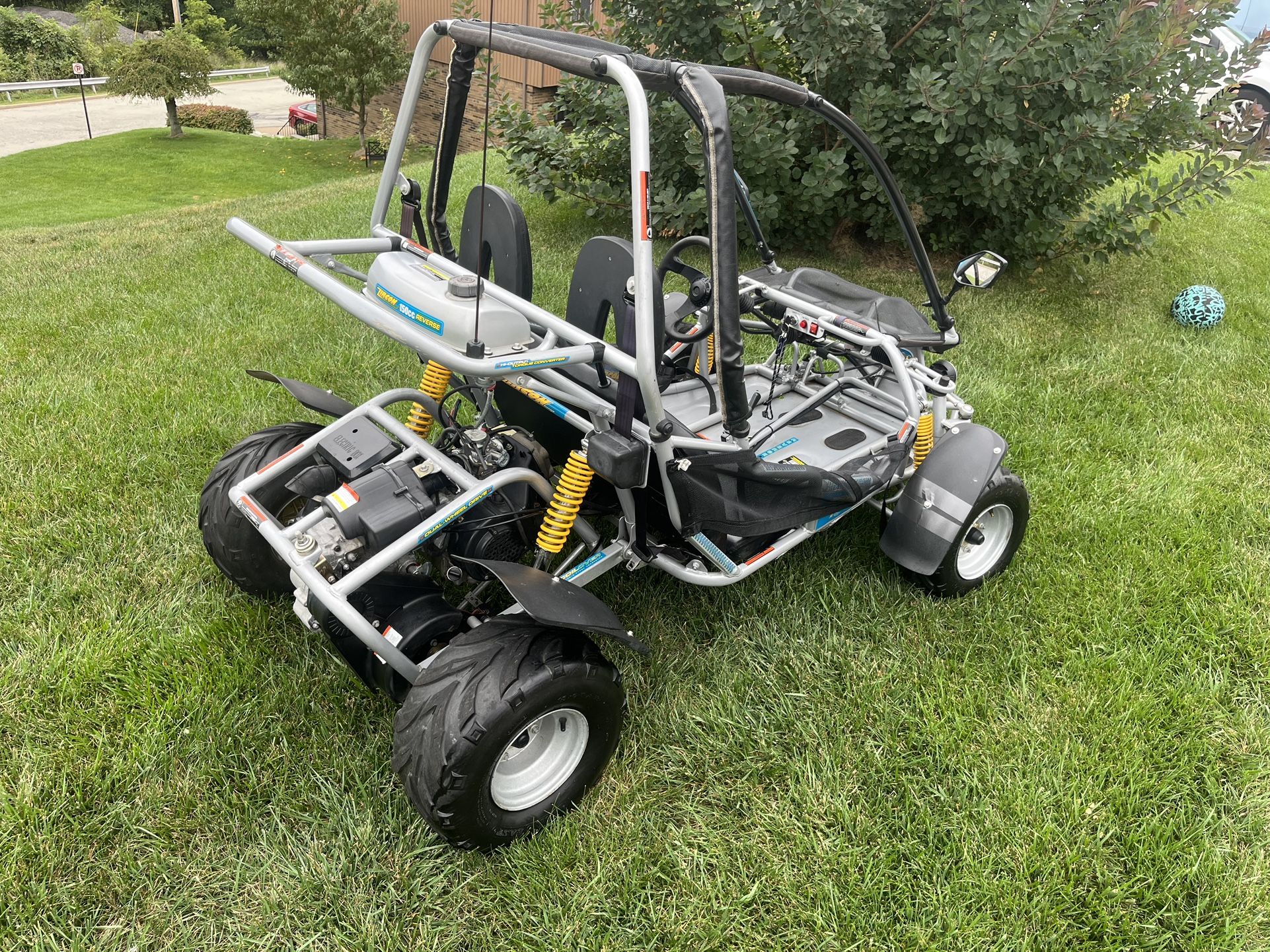 Zircon sales dune buggy