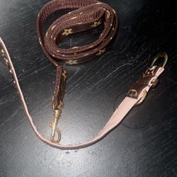 Dog leash And collar small 