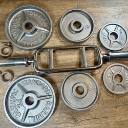 Triceps Bar With IVANKO Vintage Cast Iron Weight Plates  25s And 10s [ I’ll Throw In Pair Of 5s Diff/brand]